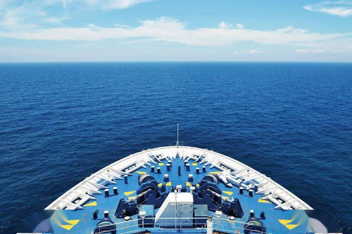掌中航海图—海上风浪查询软件，让远航不再冒险