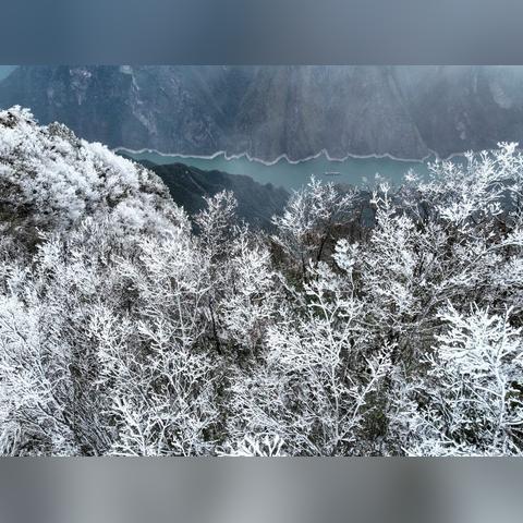 冷空气冻真格！下周重庆将迎雨雪天气，高海拔地区或现银装素裹