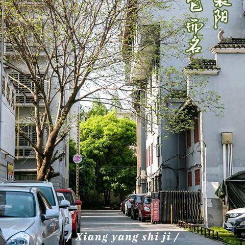 竞彩足球app官方正版-襄阳市天气预报，一场3℃的小雪，让千年古城又冷又美