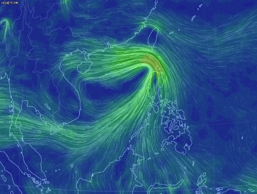 gopay钱包app下载-风雨欲来，近期台风动态与科学应对指南