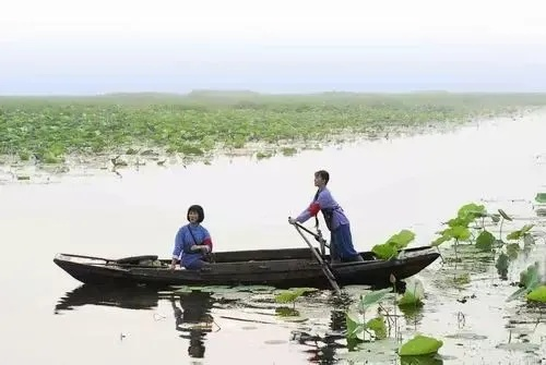 洪湖天气,四季流转里的水乡记忆 洪湖天气,四季流转里的水乡记忆