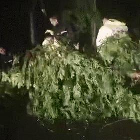 山东大暴雨最新消息,多地发布红色预警,防汛形势严峻 山东大暴雨最新消息,多地发布红色预警,防汛形势严峻