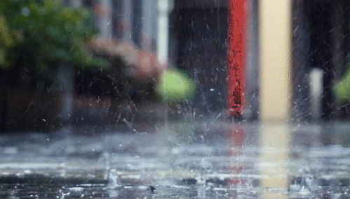 窗外,雨在呼吸,一份实时下雨情况下的城市观察笔记 窗外,雨在呼吸,一份实时下雨情况下的城市观察笔记
