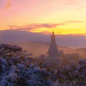 庐山风景区天气预报，云海之巅的天气密码，你的旅行指南