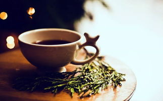 普洱天气，一座茶城的温柔与无常
