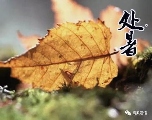 九月天象,从夏末余温到秋意渐浓—全国9月1日至30日天气预报综述 九月天象,从夏末余温到秋意渐浓—全国9月1日至30日天气预报综述